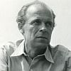 Dalibor C. Vačkář